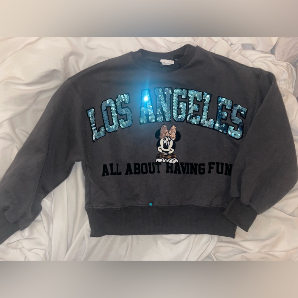 Zara Minnie Mouse Sweater
